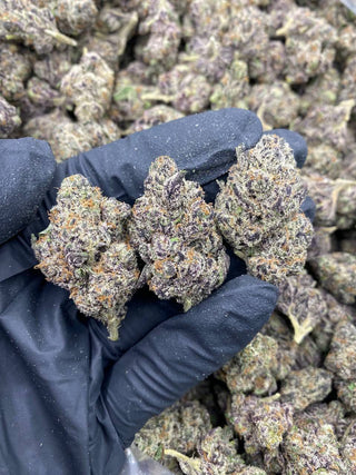 PURPLE SIZZURP