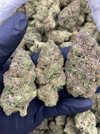 GRAPE SODA