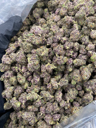 PURPLE ICE POP SMALLS