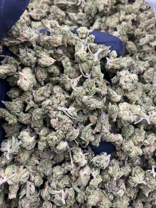 GREENHOUSE SMALLS
