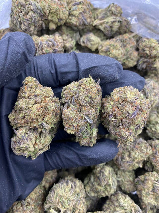 ZOUR GUSHERS