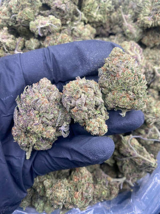 CANDY GAS