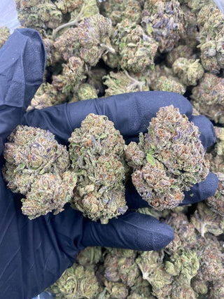 GRAPE CANDY ZOURS