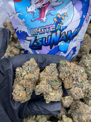 WHITE ZSUNAMI