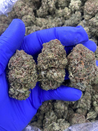 SUPER GLUE
