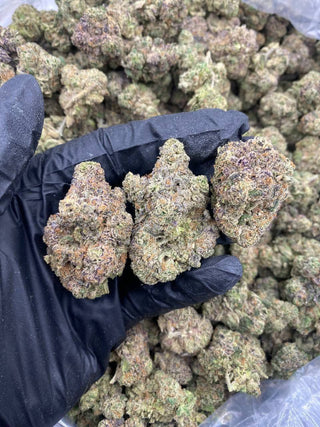 LA POP ROCKS