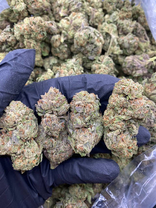 BUBBLEGUMBO
