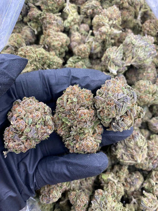GRAPE CANDY ZOURS