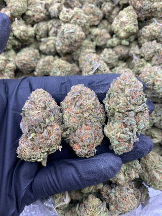 COTTON CANDY RUNTZ
