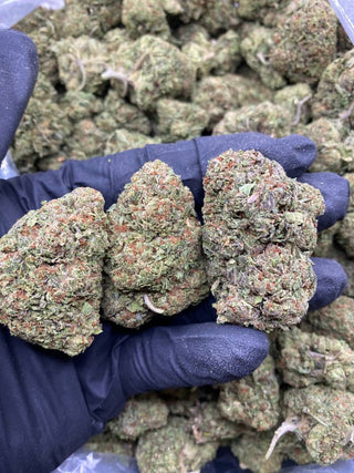WHITE CHERRY RUNTZ