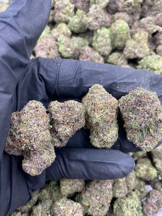 BOLO CANDY