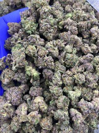 ZSUNAMI EXOTIC SMALLS