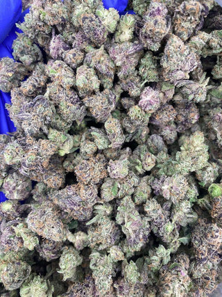 BIG ALS HAWAIIAN RUNTZ EXOTIC SMALLS