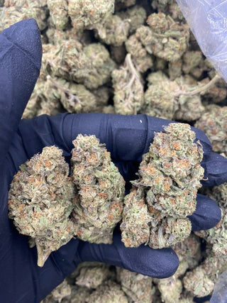 APPLE FRITTER