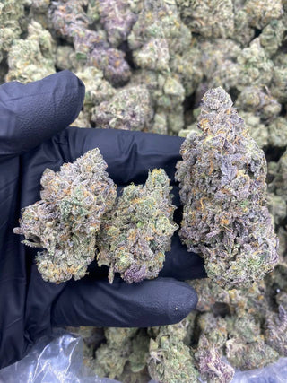 LEMON CHERRY SHERBET