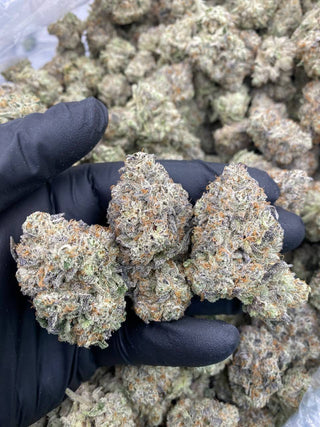 BISKANTE BY ALIEN LABS