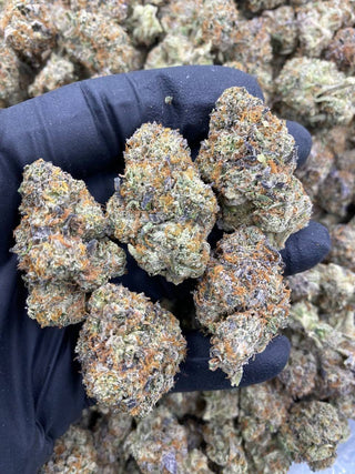 GRANDADDY PURP