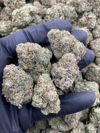 WHITE CHERRY GELATO