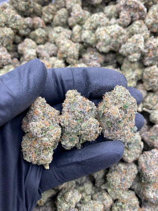 LEMON CHERRY GELATO