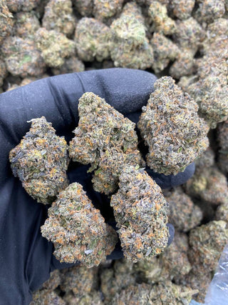 BLUE SHERBERT