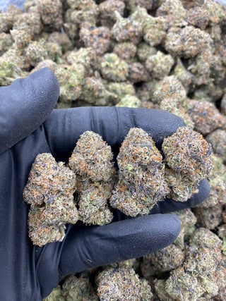BSR SUPER LEMON CHERRY