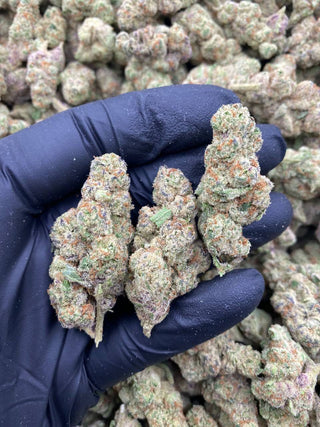 PURPLE TESLA