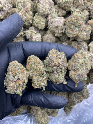 TRIPLE SCOOP
